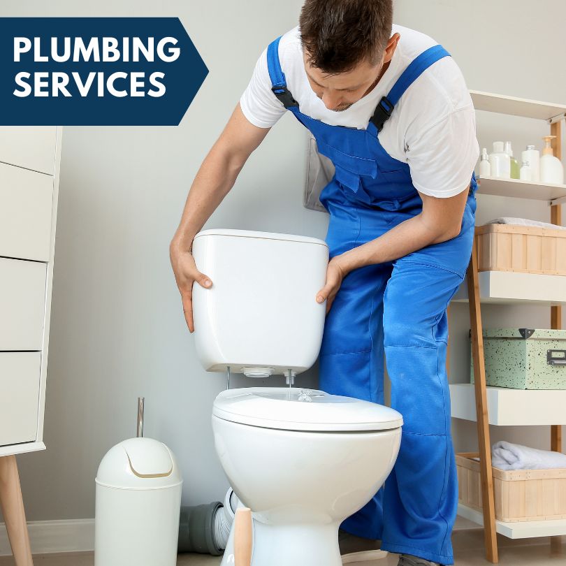 Plumbing Company in Carterville, IL